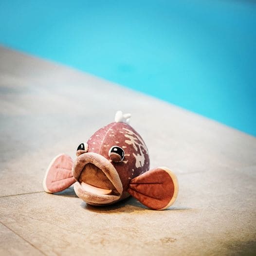 Mérou Tout Court – Image 3