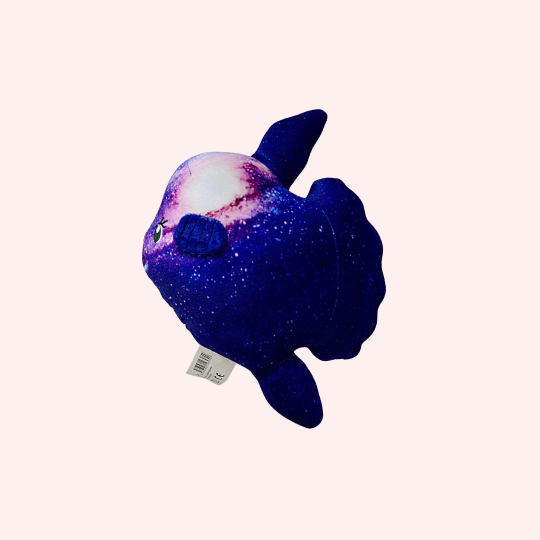 L'Univers – Image 3